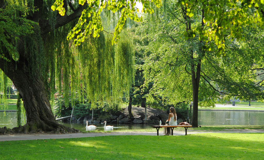 環境保護活動への参加報告